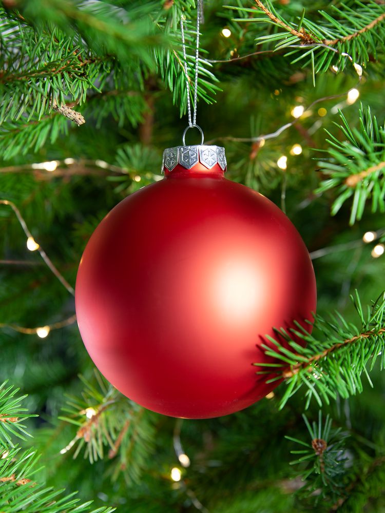 Елочный шар Finery Matt, 10 см