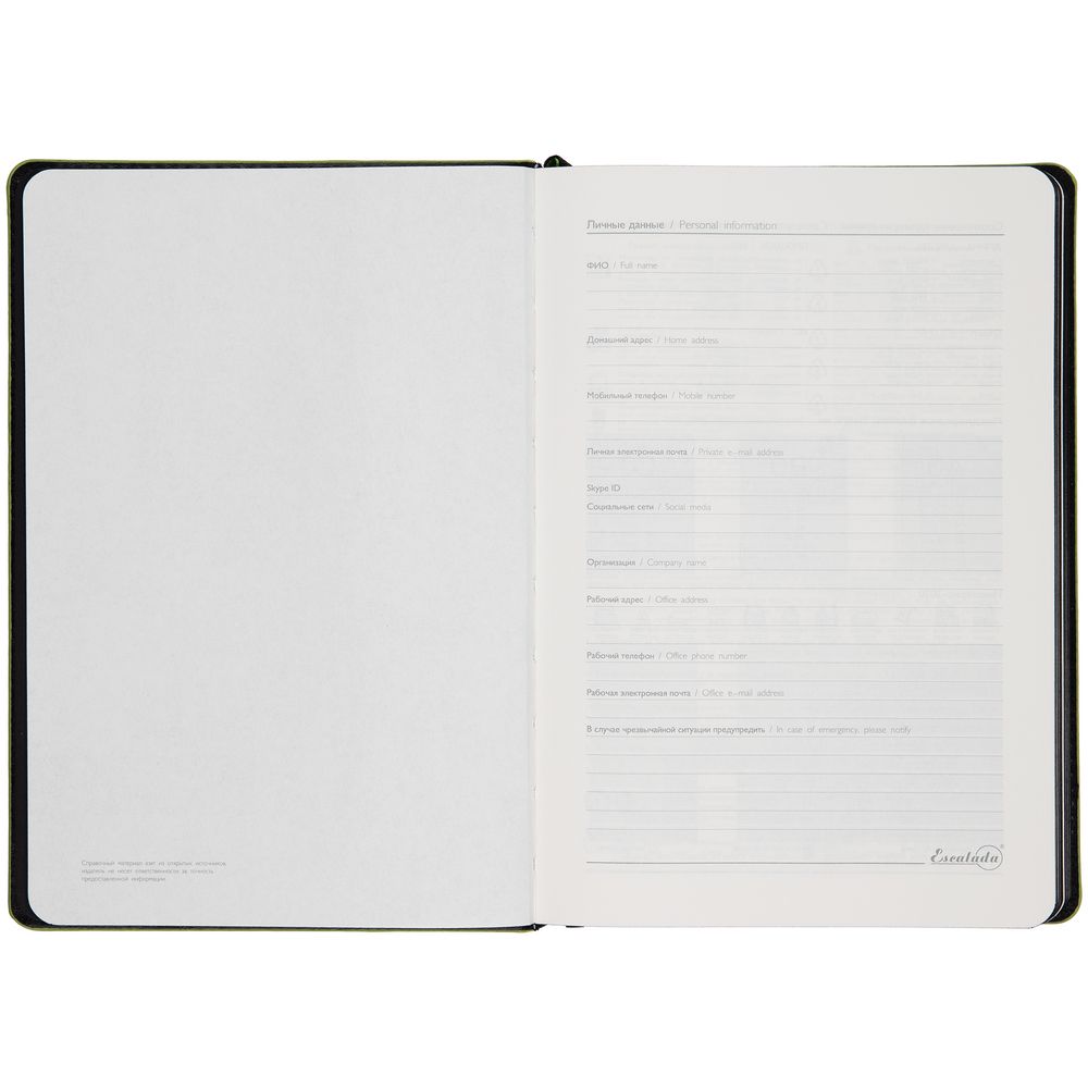 Ежедневник Alanis, недатированный