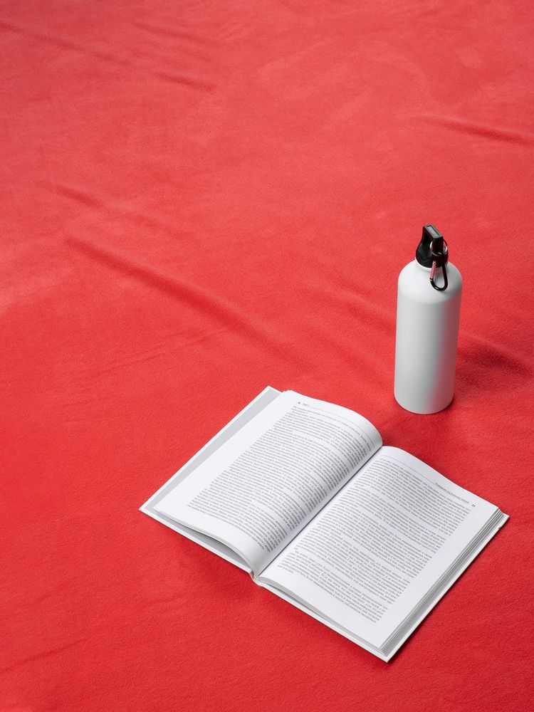 Дорожный плед Voyager 2