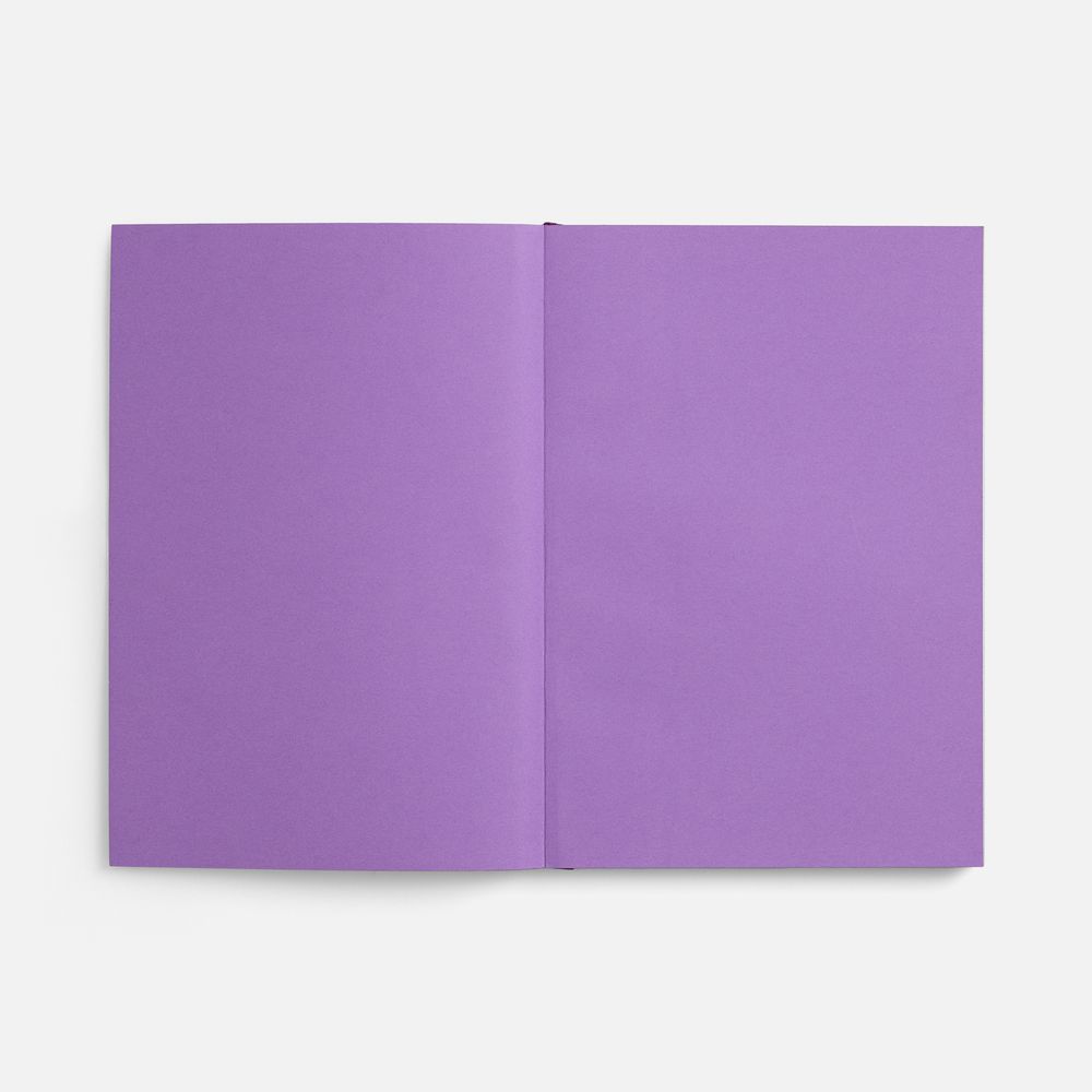 Ежедневник Flat, недатированный