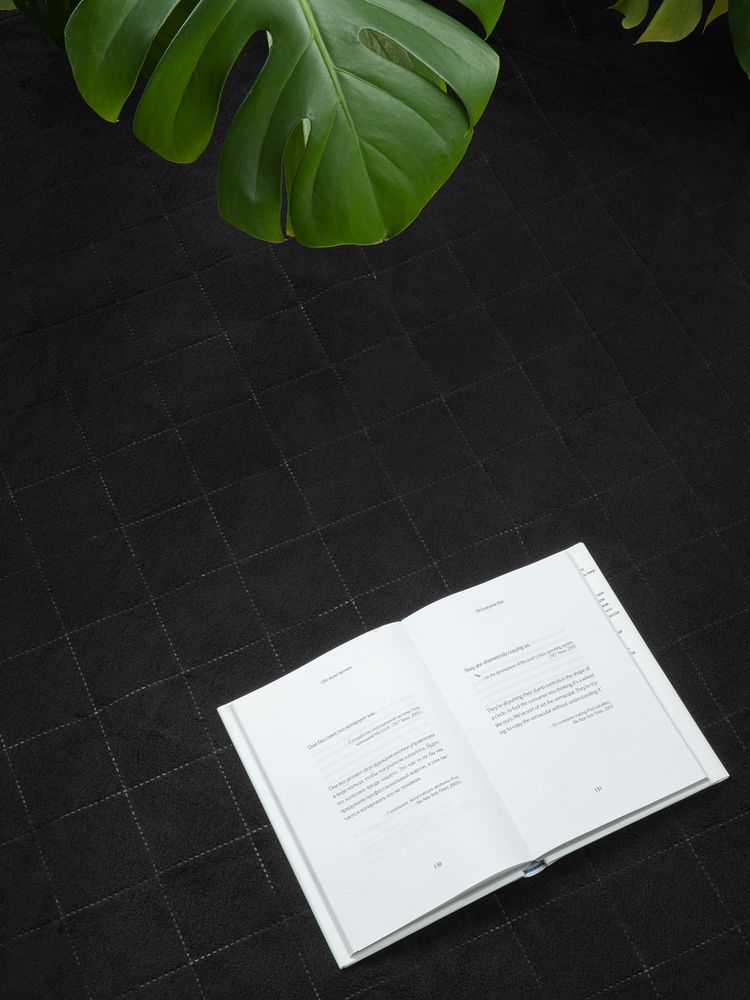 Плед для пикника Soft &amp; Dry 2