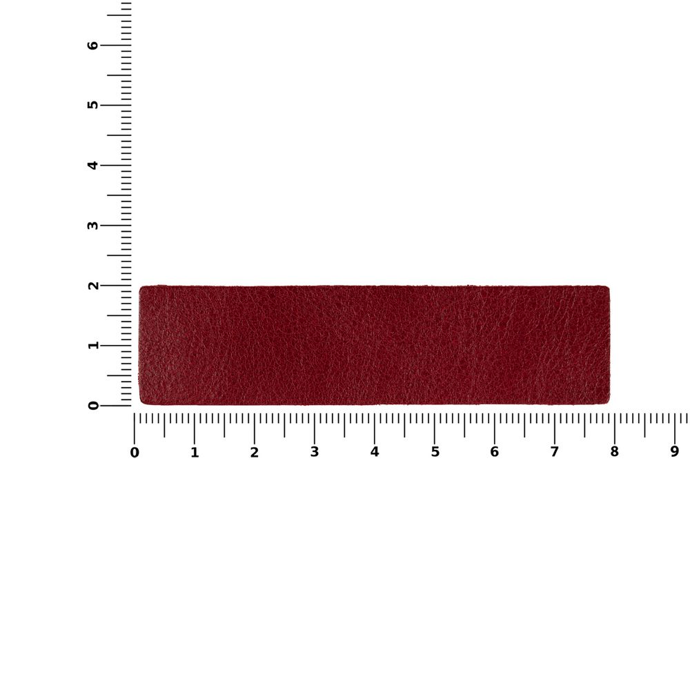 Лейбл кожаный Pasek, S