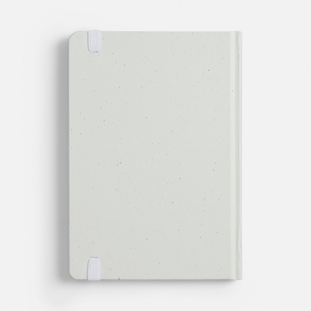 Блокнот Lactonica