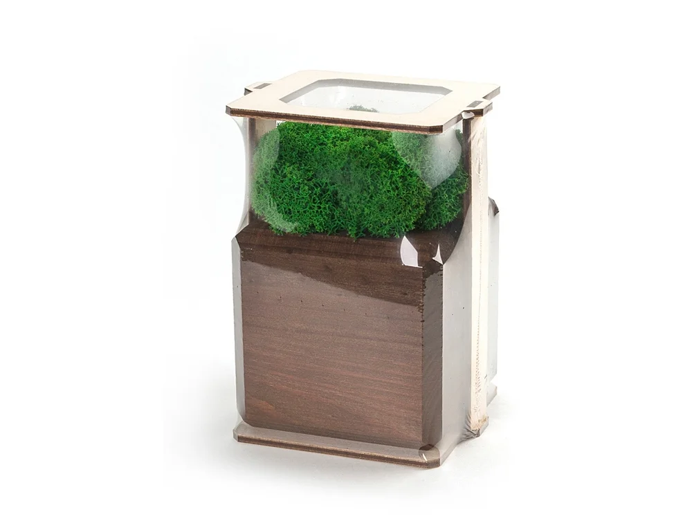 Композиция Мох в интерьере