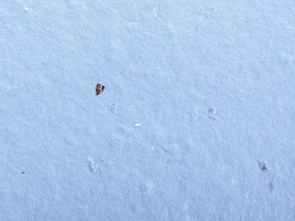 Блокнот А6 с бумажным карандашом и семенами цветов микс