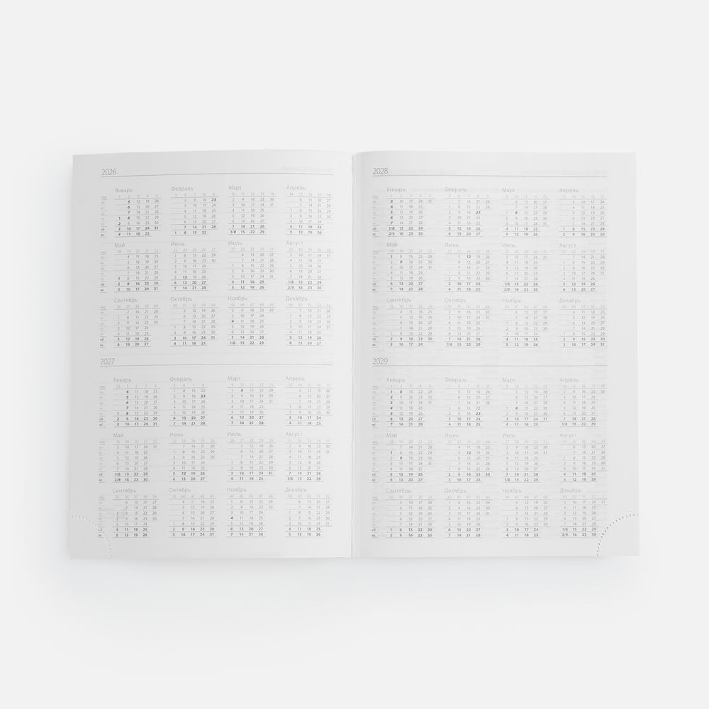 Ежедневник Favor, недатированный