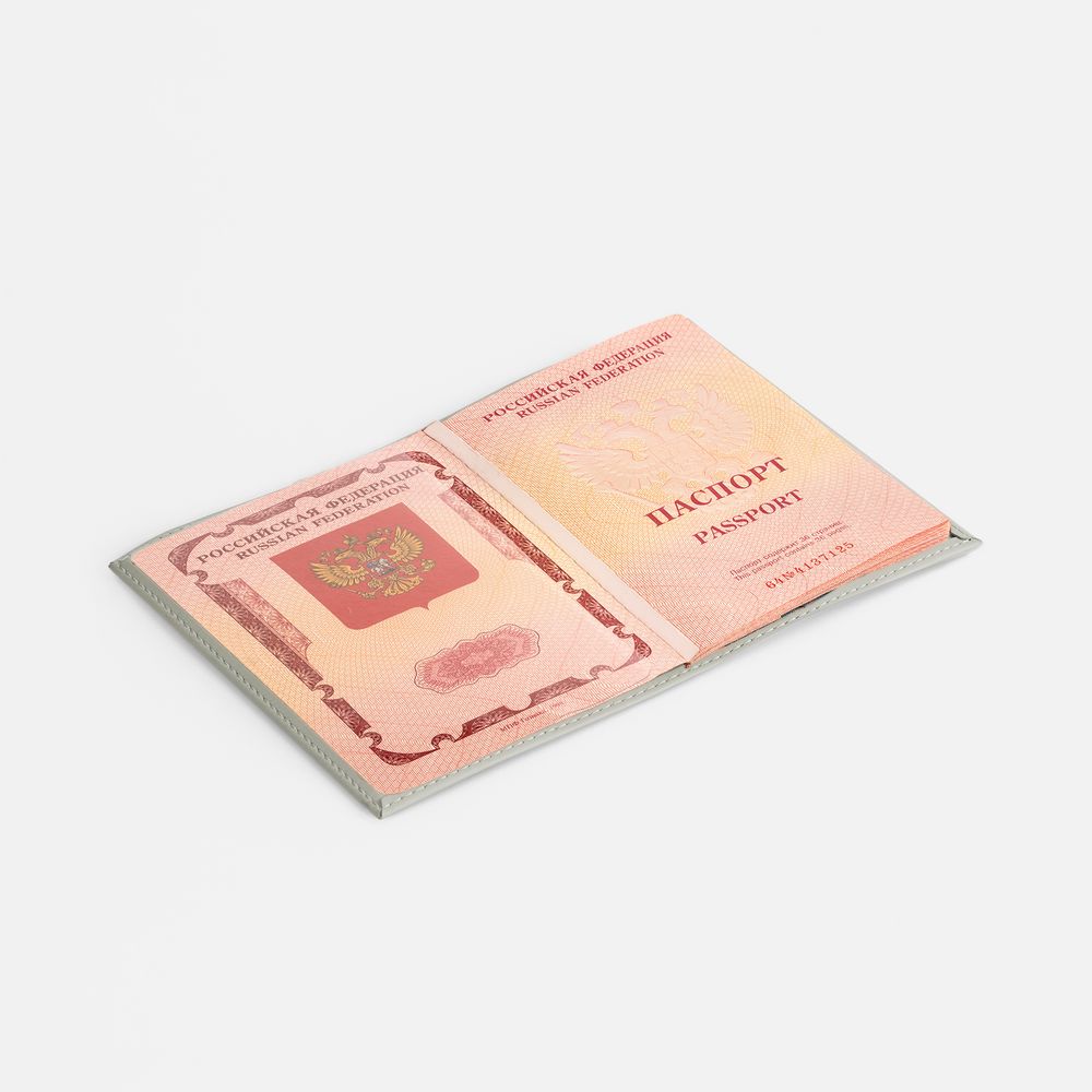 Обложка для паспорта Shall