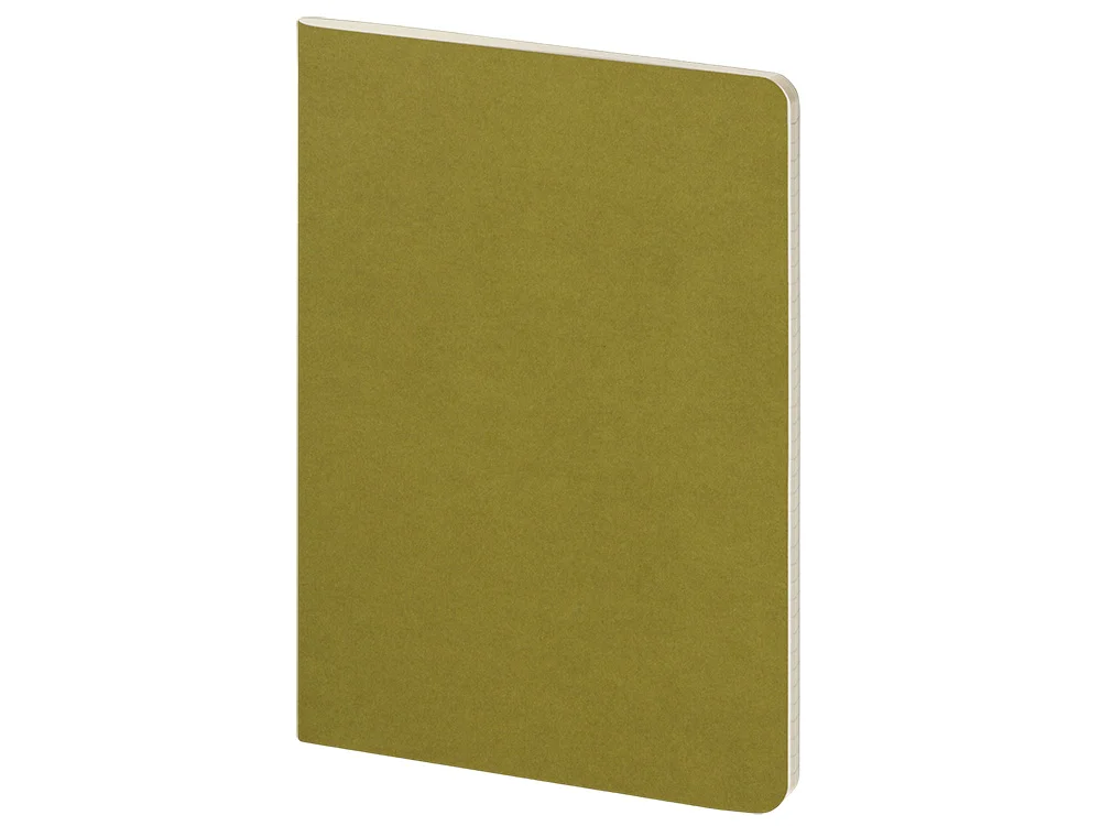 Бизнес тетрадь А5 Pragmatic