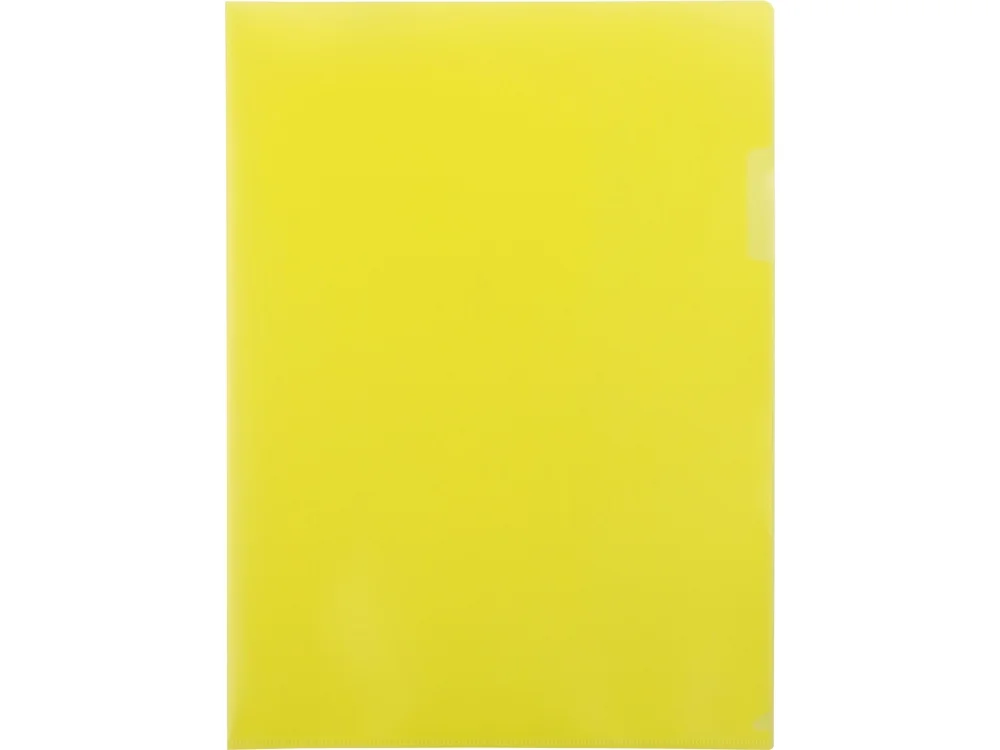 Папка- уголок А4, матовая