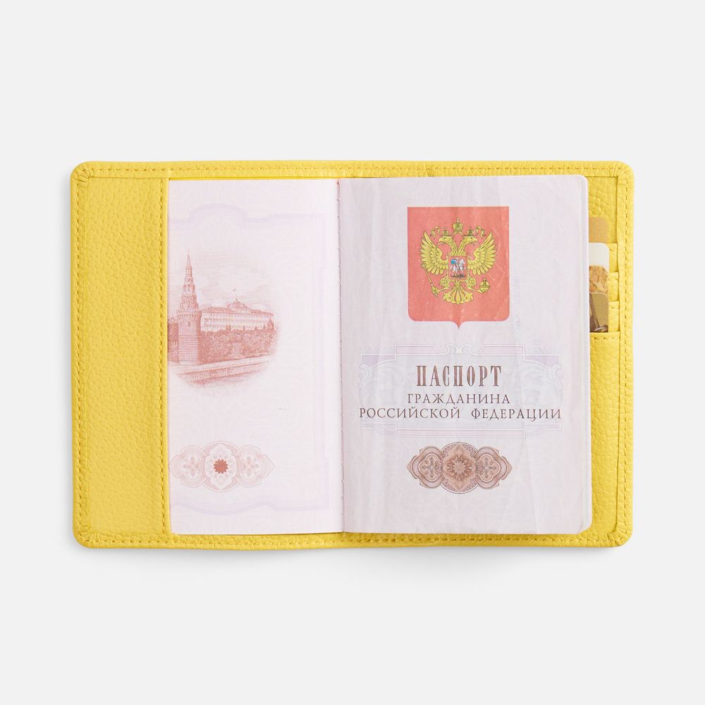 Обложка для паспорта Unison