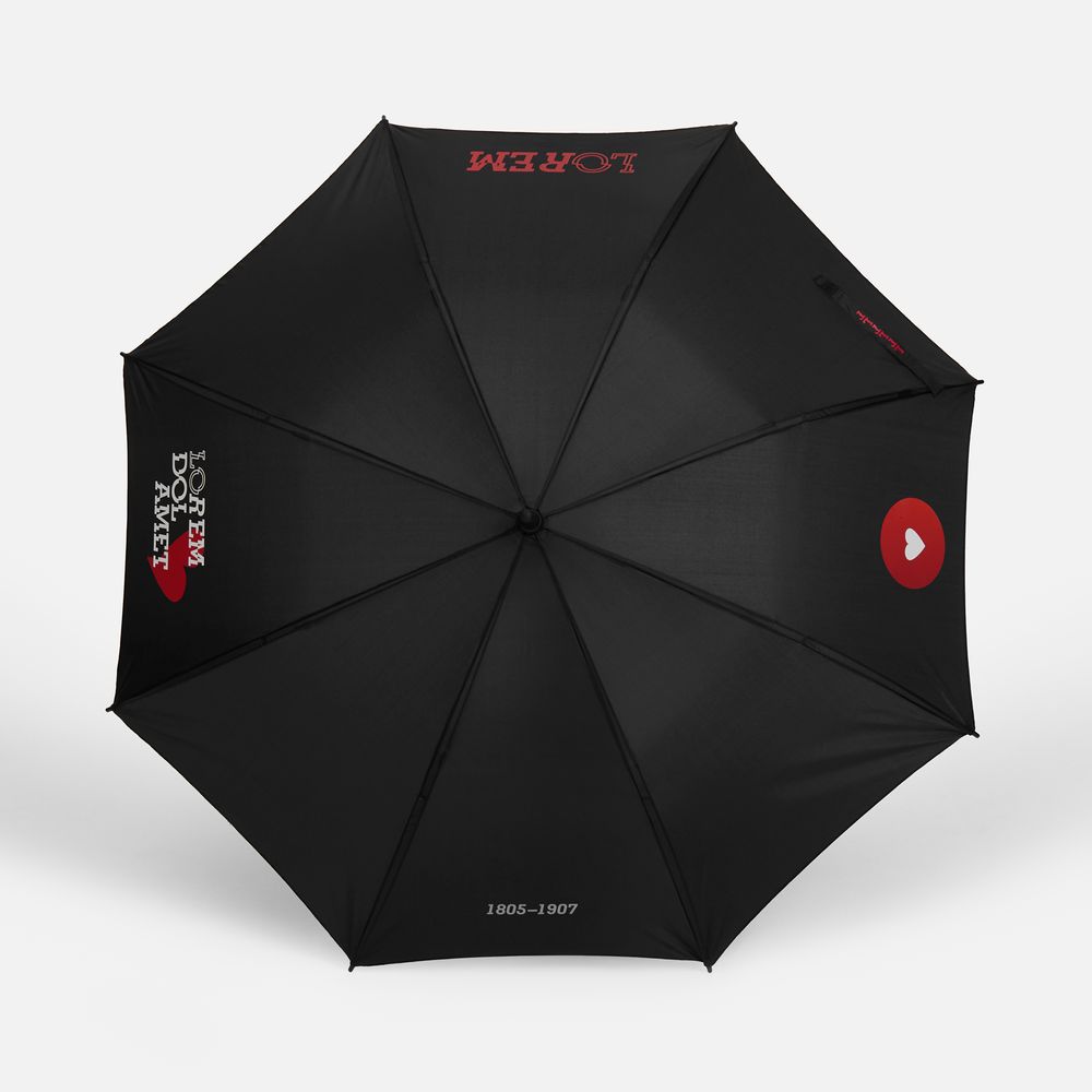 Зонт-трость Hidecolor с цветными спицами