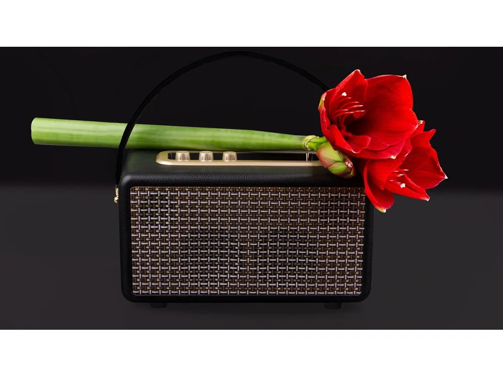 Портативная акустика Mysound Drive