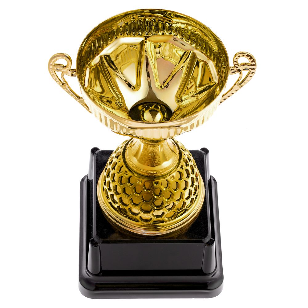 Кубок Meritus, средний