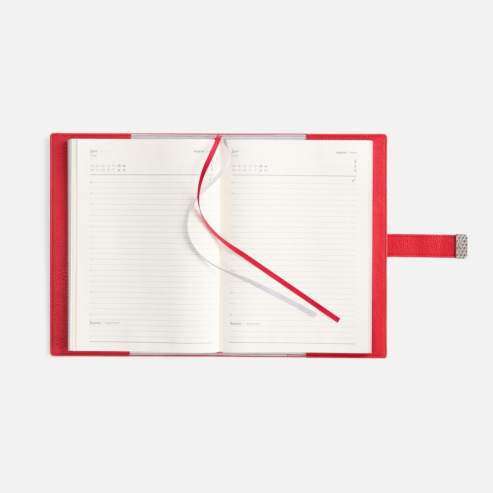 Ежедневник Repute, недатированный