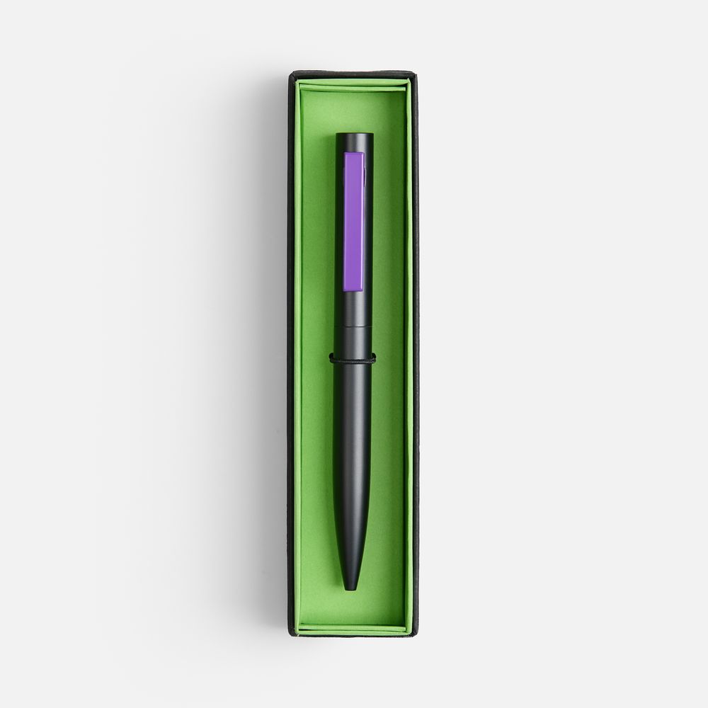 Ручка шариковая Inkolor в футляре