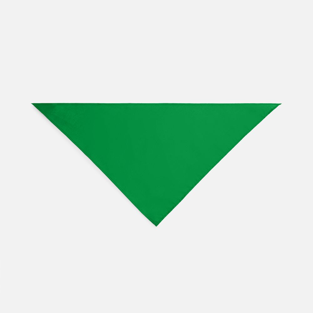 Шейный платок Bandana