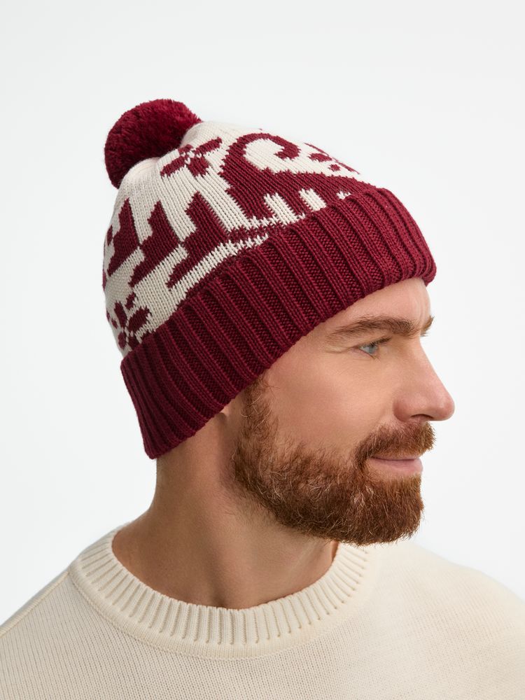 Шапка Wintertude