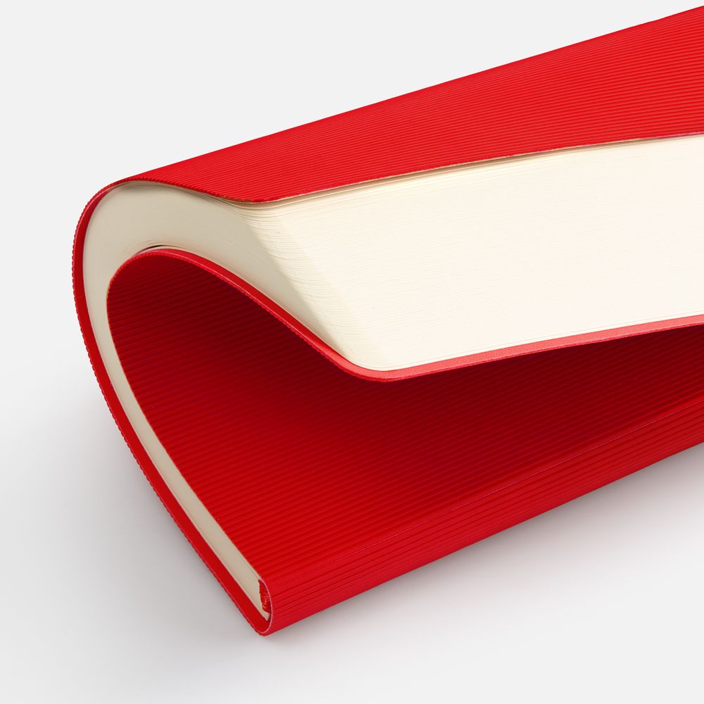 Ежедневник Vale New, недатированный