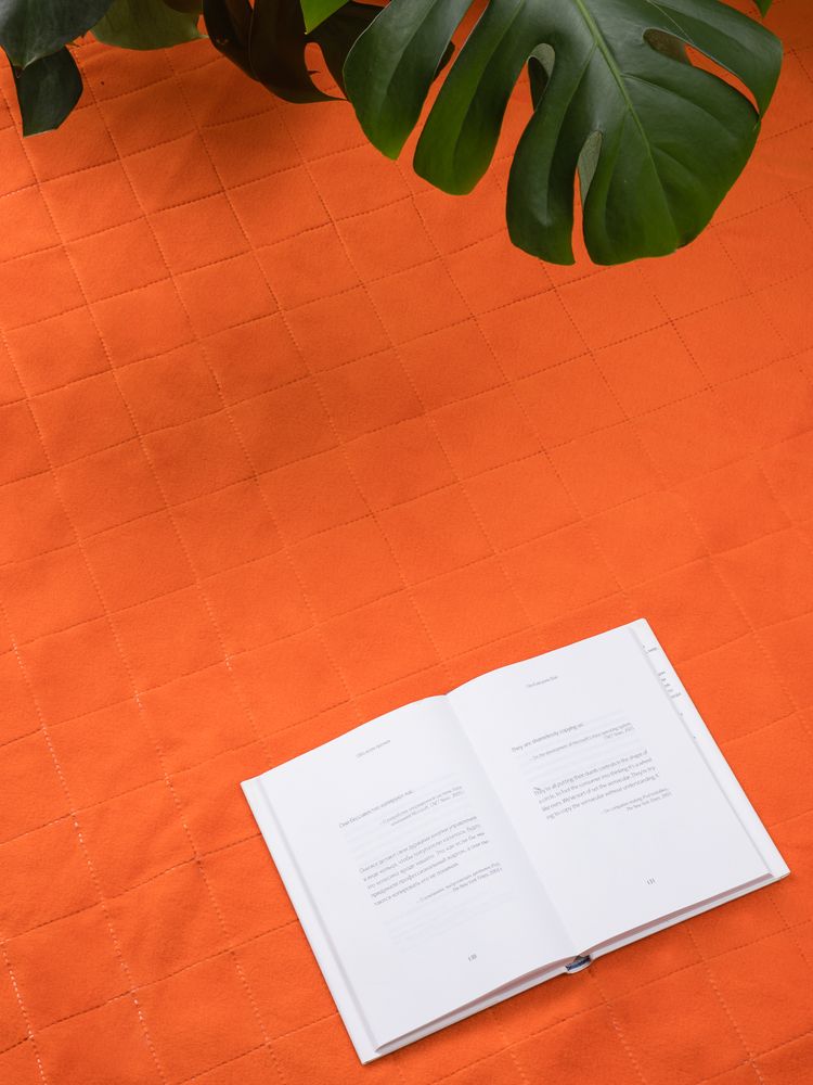 Плед для пикника Soft &amp; Dry 2