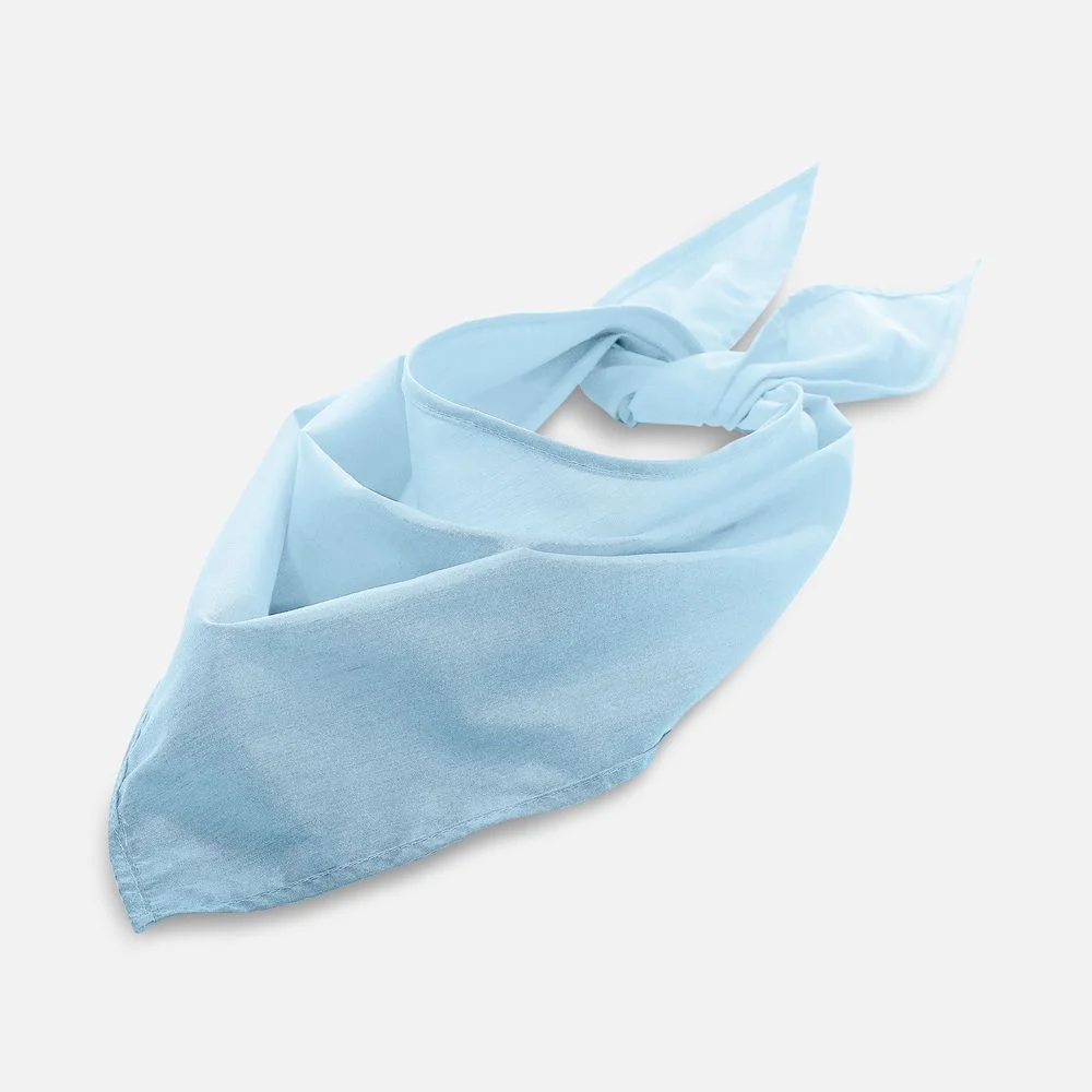 Шейный платок Bandana