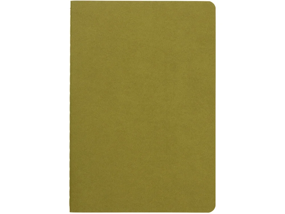 Бизнес тетрадь А5 Pragmatic