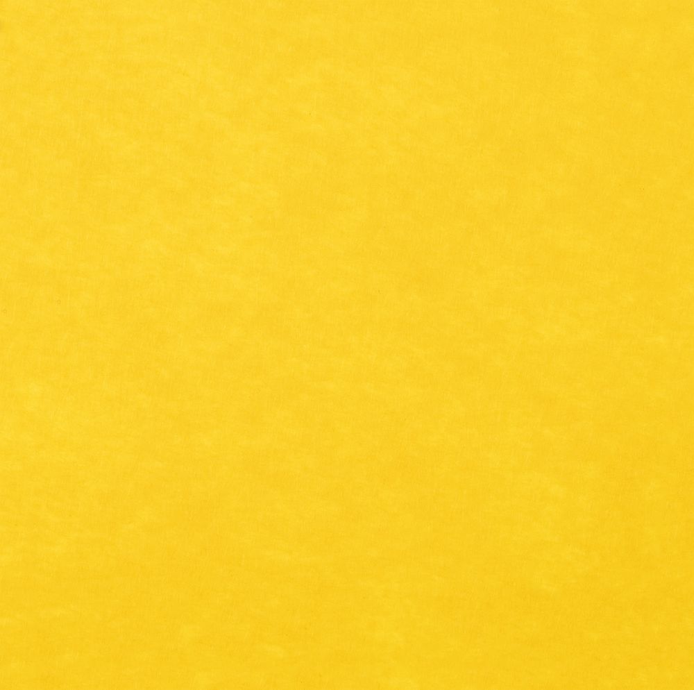 Заготовка из фетра Felt M