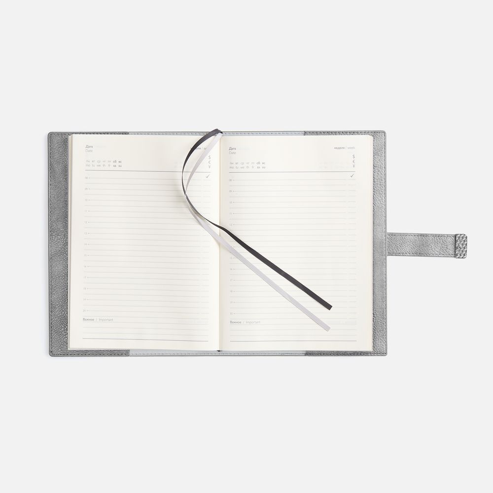 Ежедневник Repute, недатированный