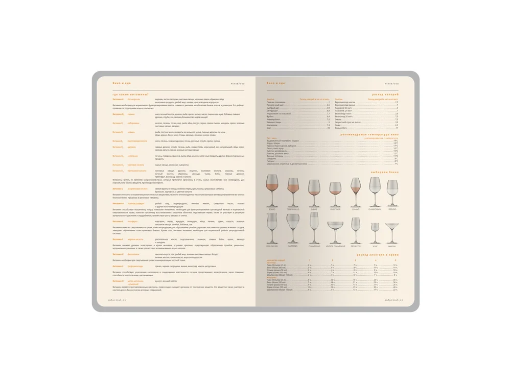 Ежедневник А5 датированный Boston на 2027 год