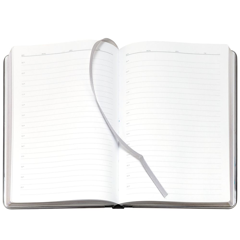 Ежедневник Frame Metal, недатированный