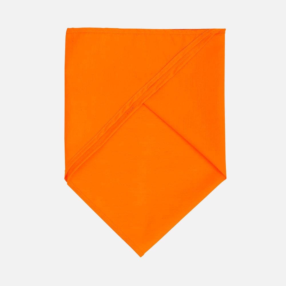 Шейный платок Bandana