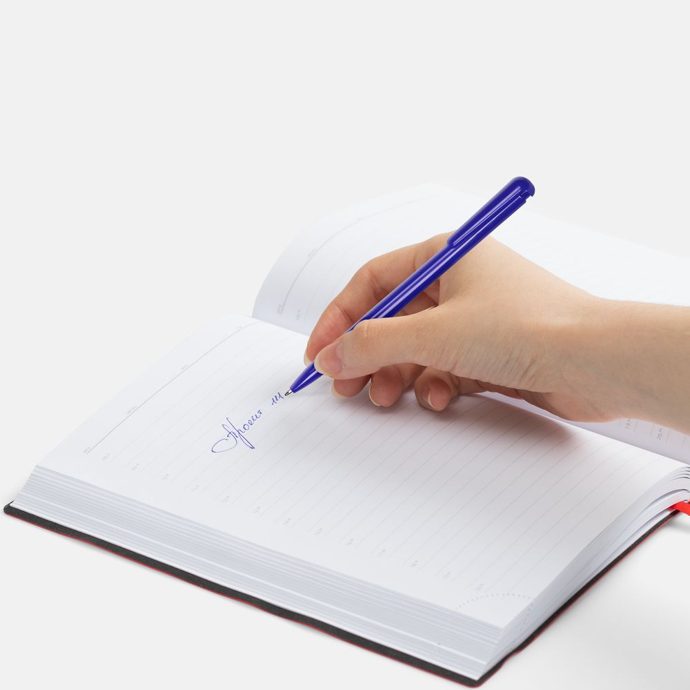 Ручка шариковая Penpal