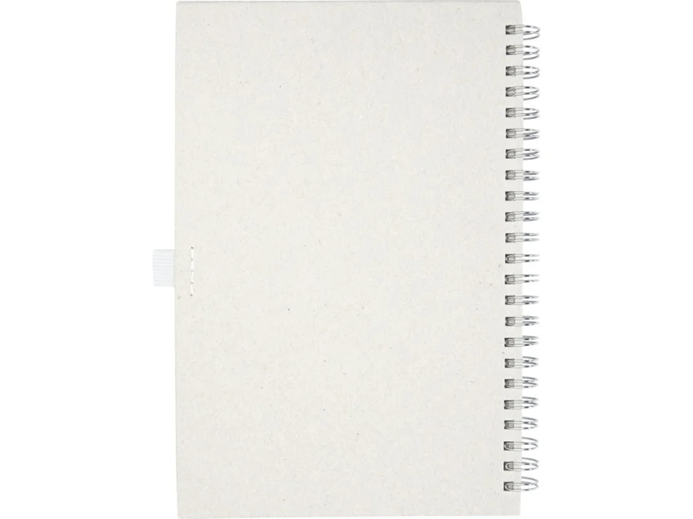 Блокнот на спирали А5 Dairy Dream