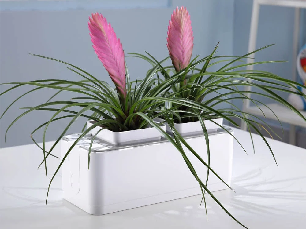 Компактный смарт-сад iGarden