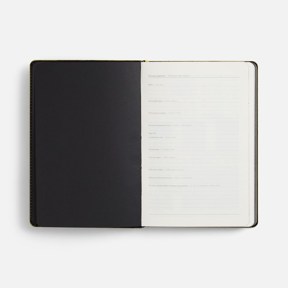 Ежедневник Alanis, недатированный