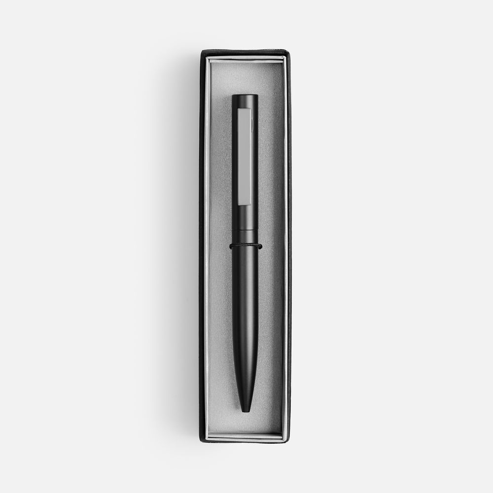 Ручка шариковая Inkolor в футляре