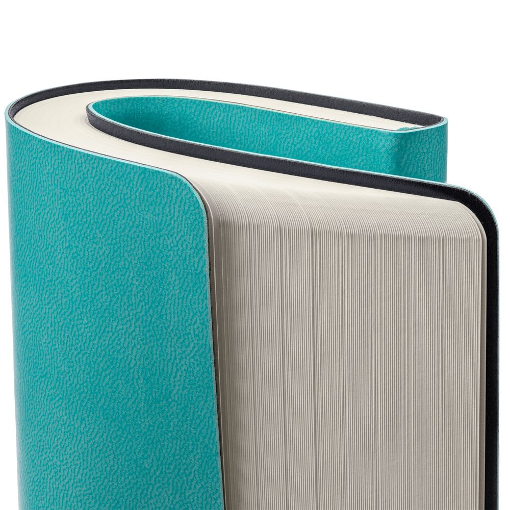 Ежедневник Romano, недатированный