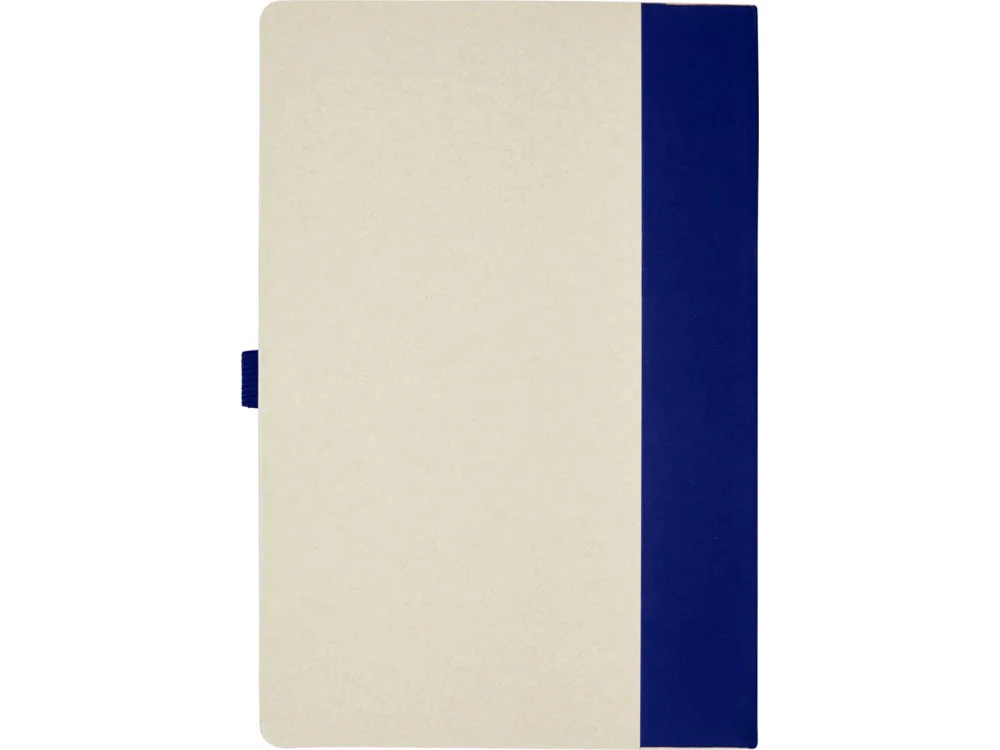 Блокнот A5 Dairy Dream с шариковой ручкой