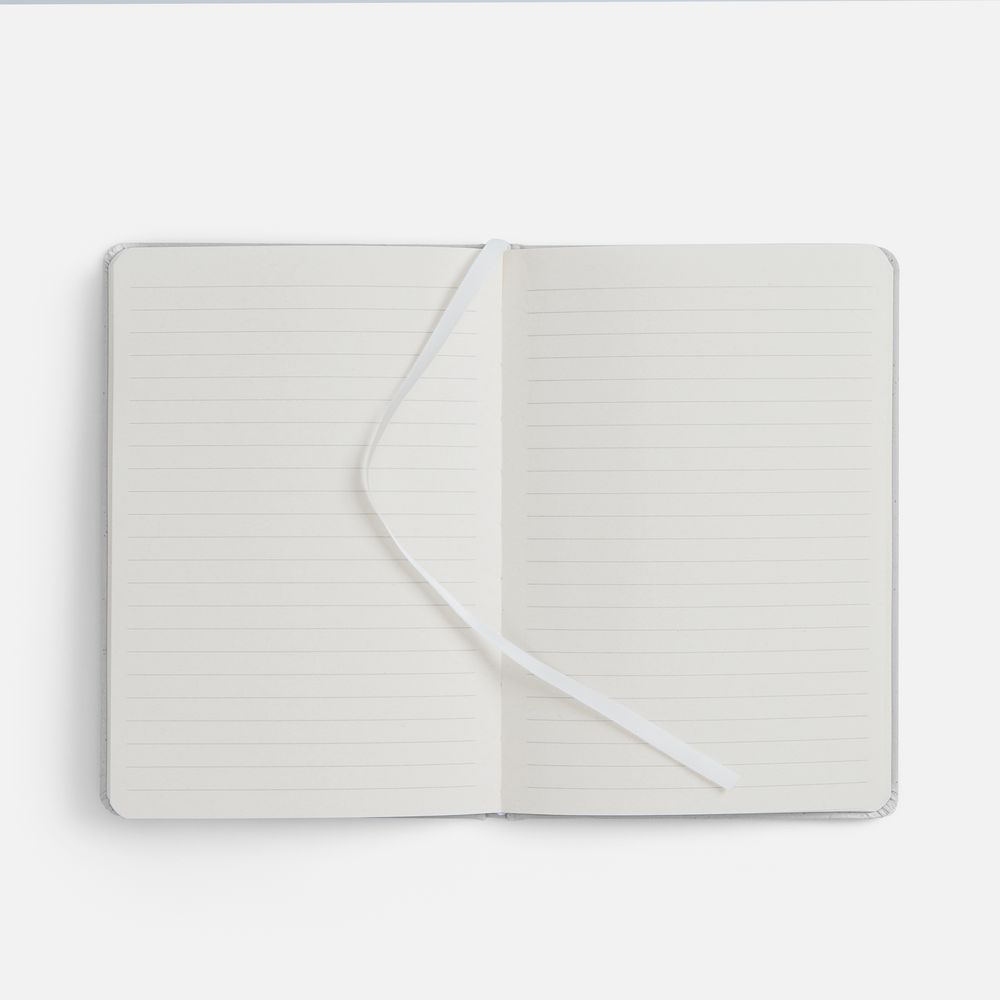 Блокнот Lactonica