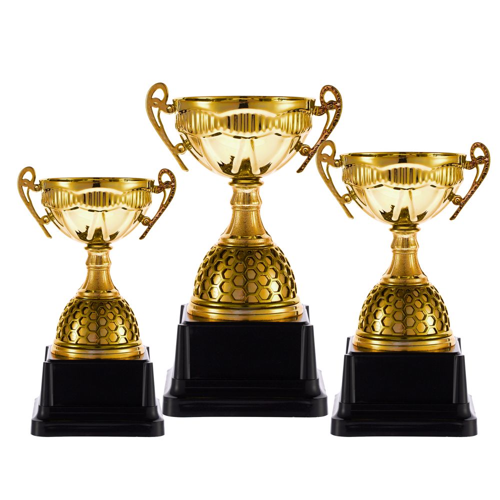 Кубок Meritus, средний