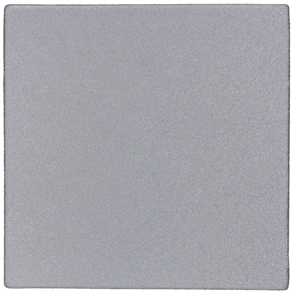 Лейбл светоотражающий Tao, L