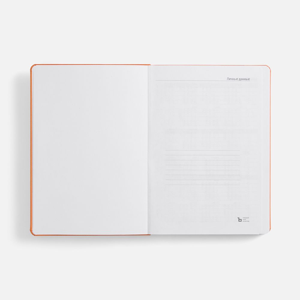 Ежедневник Basis, датированный