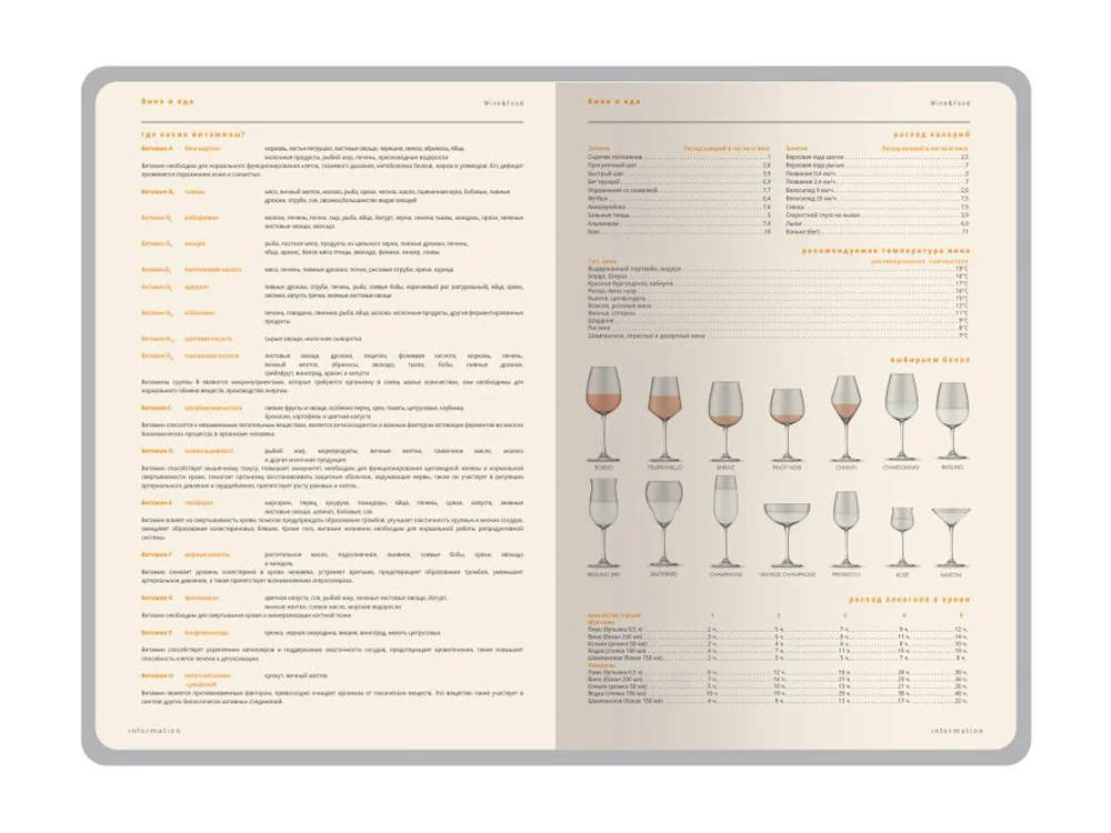 Ежедневник недатированный А5 Boston