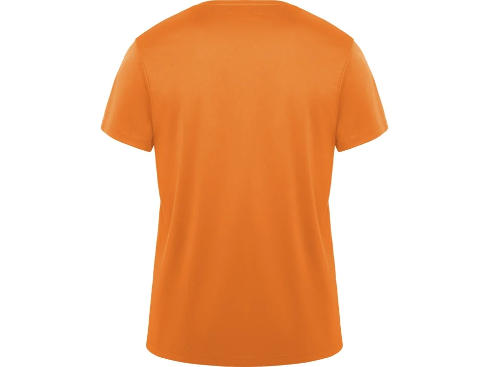 Спортивная футболка Daytona мужская