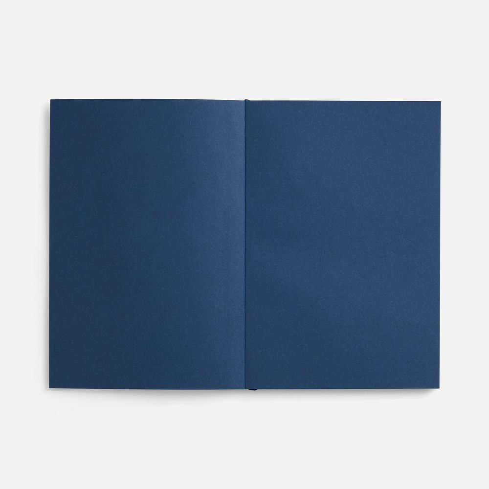 Ежедневник Flat, недатированный