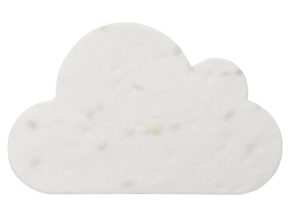 Набор для записей с семенами ромашки Patio