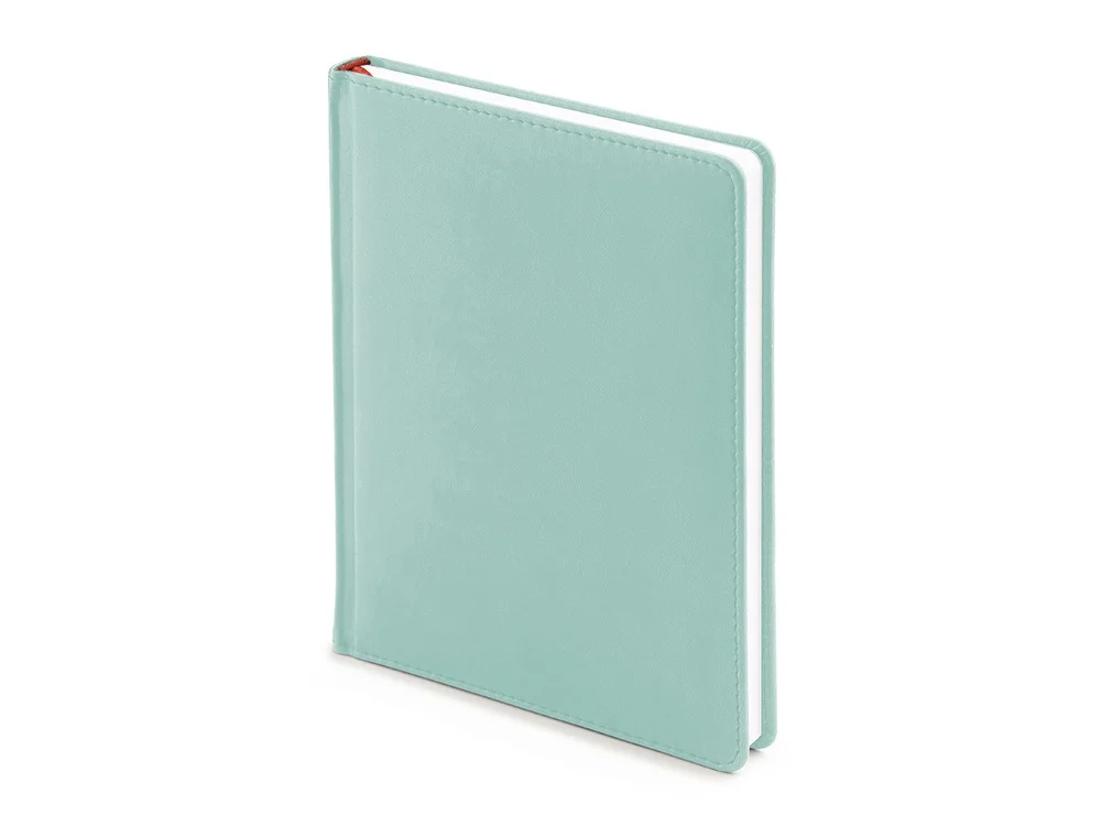 Ежедневник недатированный А5 Velvet