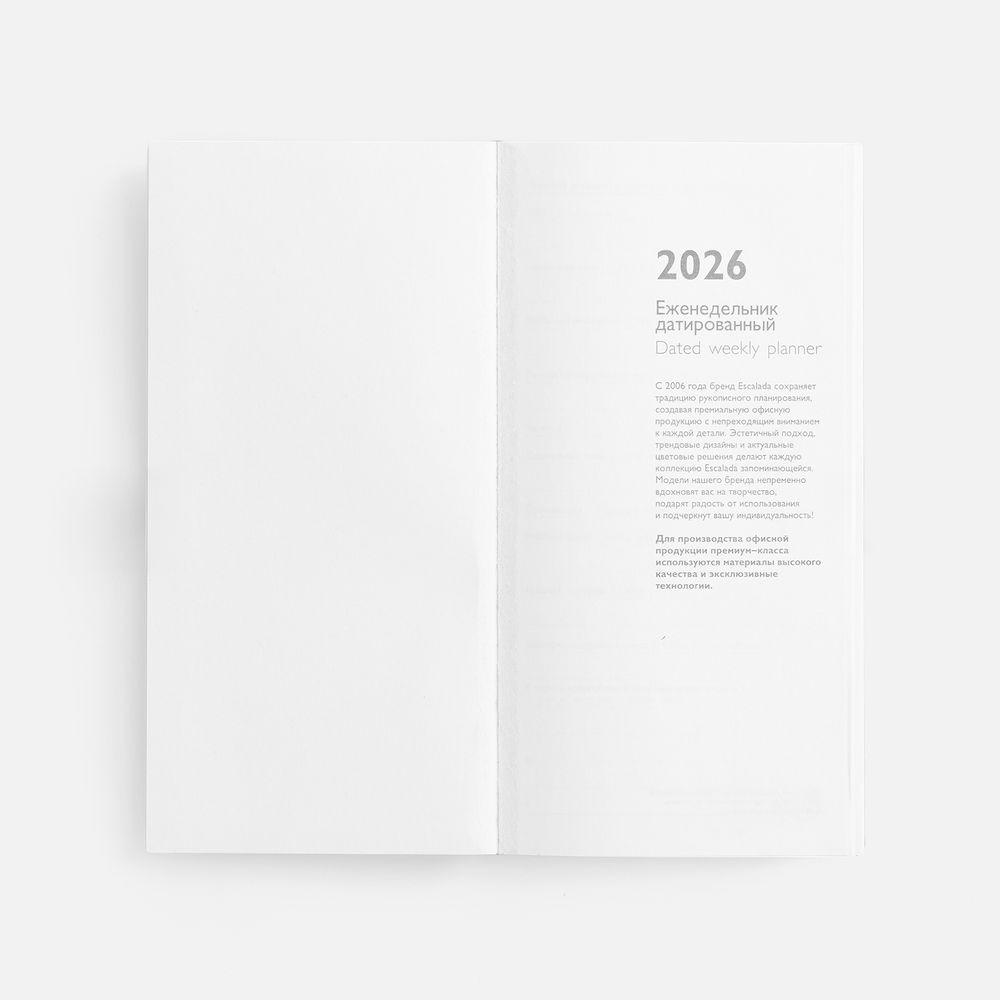 Еженедельник Baza, датированный