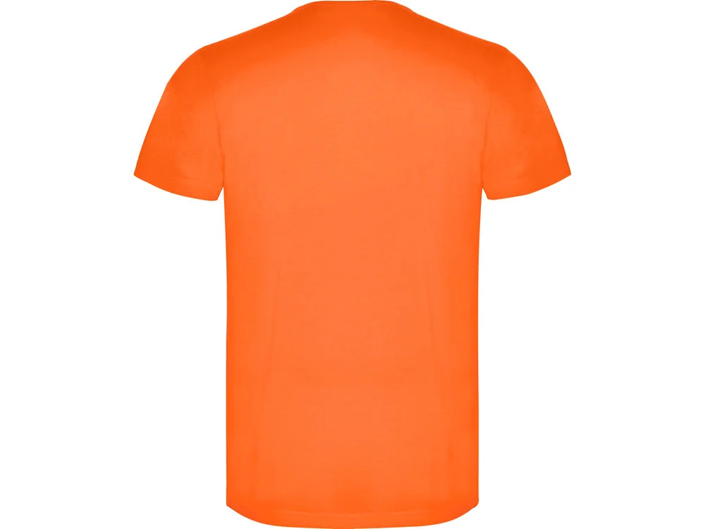 Футболка Akita мужская