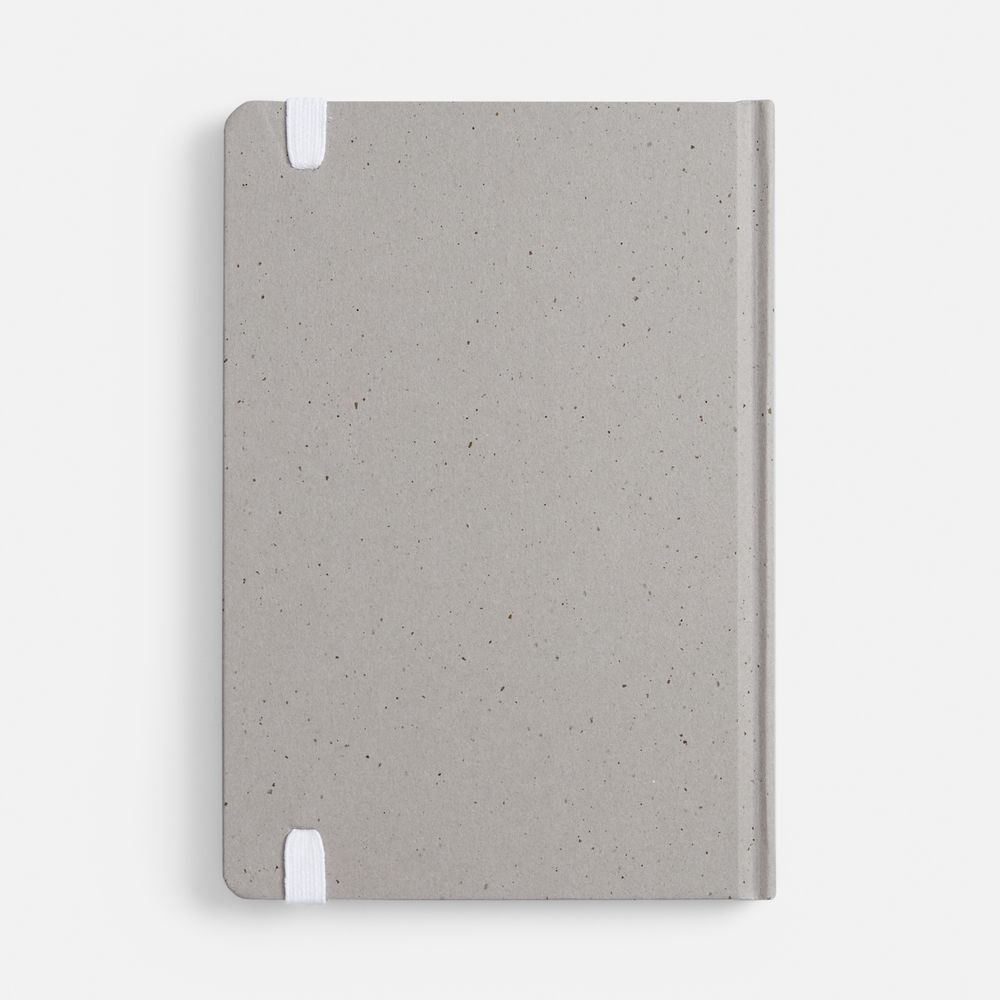 Блокнот Lactonica