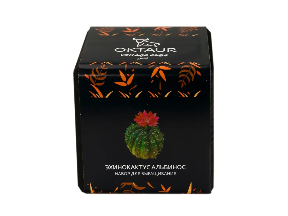 Набор для выращивания Small village cube Эхиноцереус